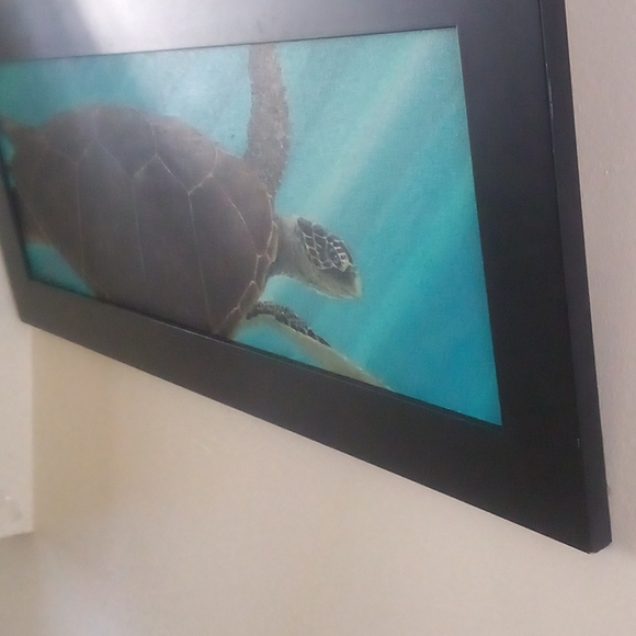 Honu Sea Turtle Original oil Painting by Hawaiian artist - Picture 5 of 5